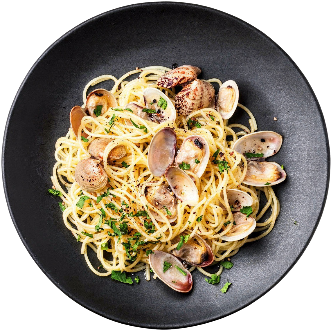 Clam Pasta in White Wine Garlic Sauce